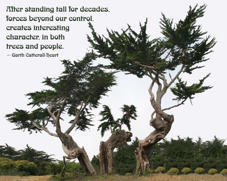Twisted Inspirational Quotes. QuotesGram