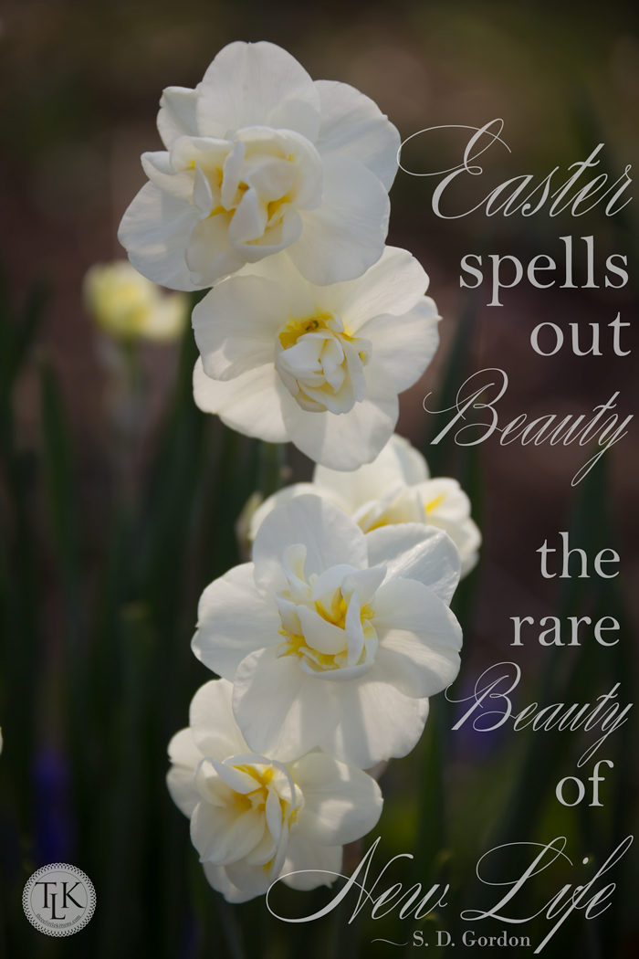 rare-beauty-quotes-quotesgram