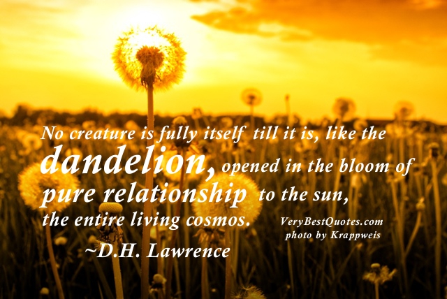 Dandelion Quotes And Sayings And Poems. QuotesGram
