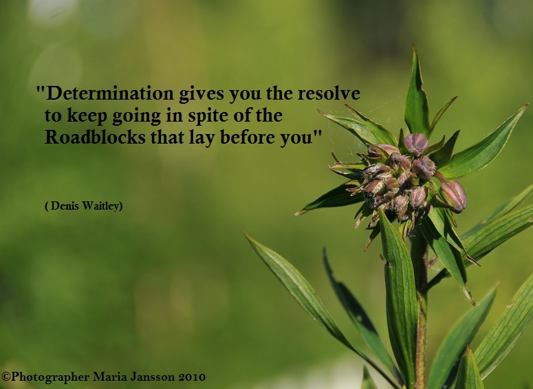 All Natural Quotes About Beauty. QuotesGram