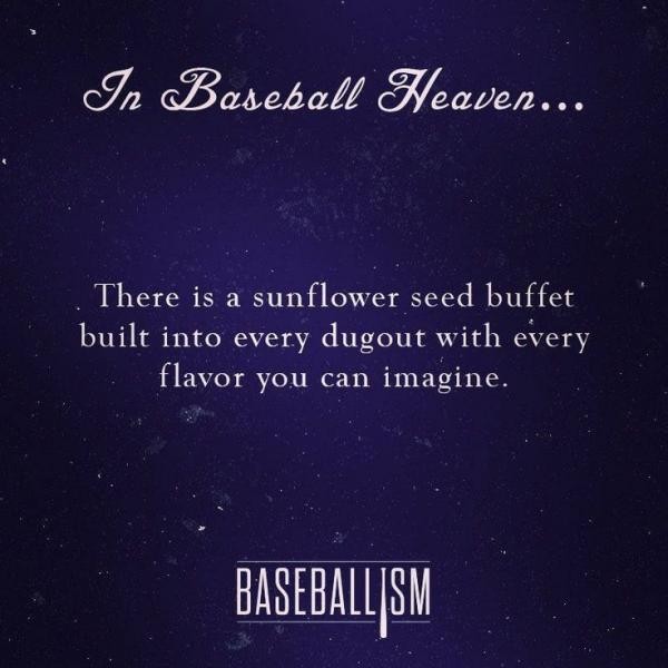 Famous Baseball Quotes And Sayings. QuotesGram