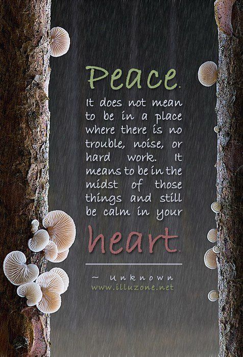 Finding Peace In Chaos Quotes. QuotesGram