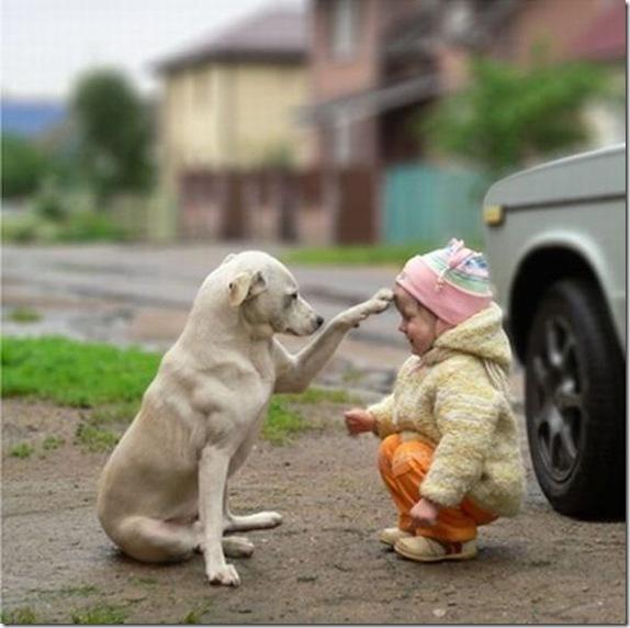 animal-best-friend-quotes-quotesgram
