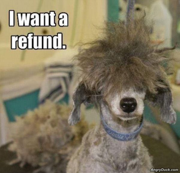 Animal Groomer Quotes. QuotesGram