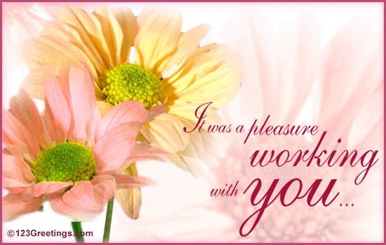 Pleasure Working With You Quotes QuotesGram
