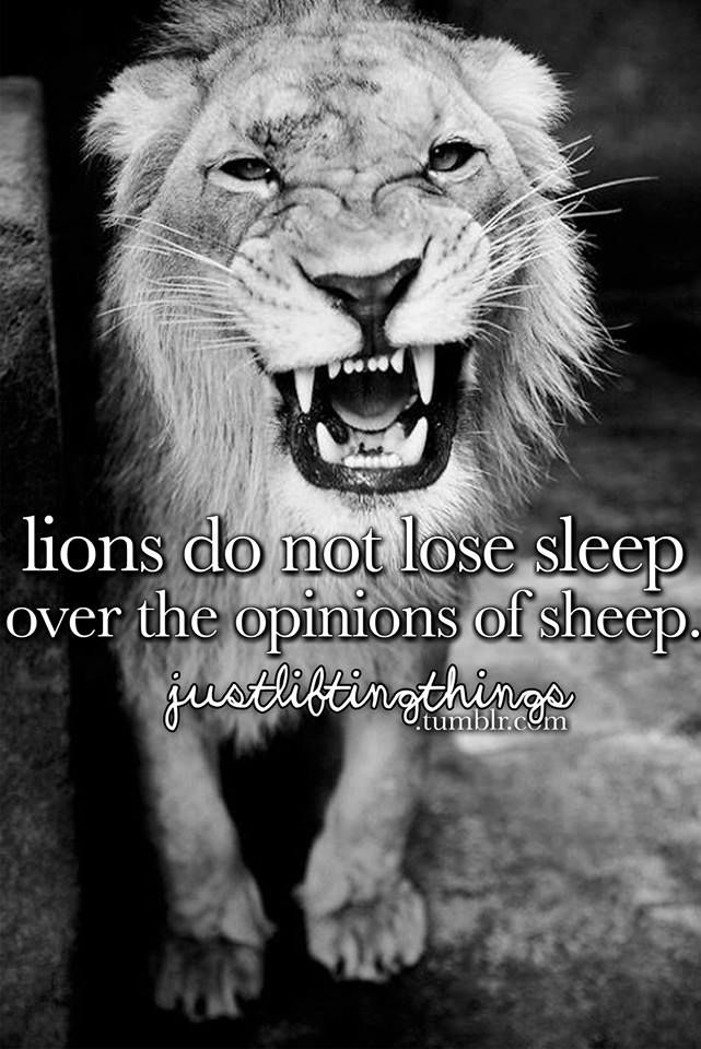 Lions Not Sheep Quote Dont Be A Sheep Quotes. Quotesgram