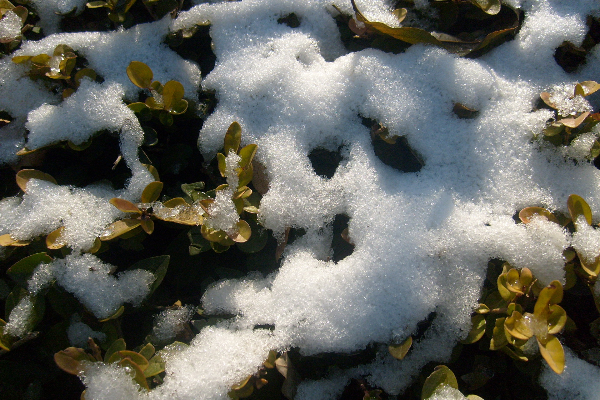 Тающие сугробы снега