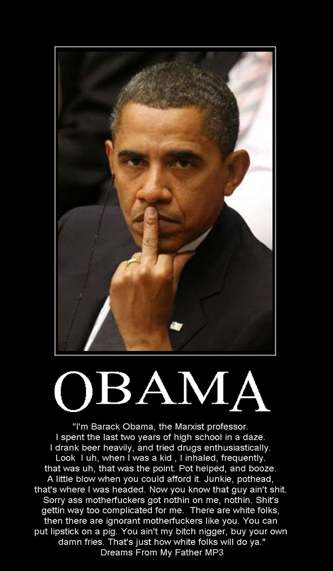 Obama American Dream Quotes. QuotesGram