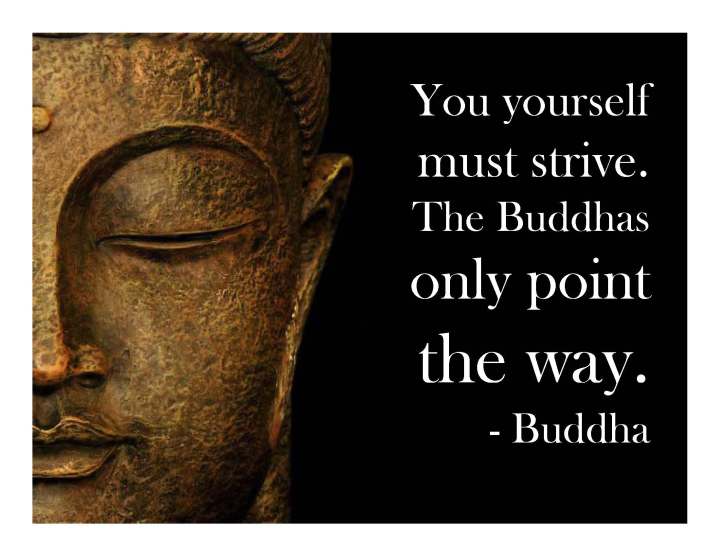 Thai Famous Quotes QuotesGram thai-famous-quotes-quotesgram