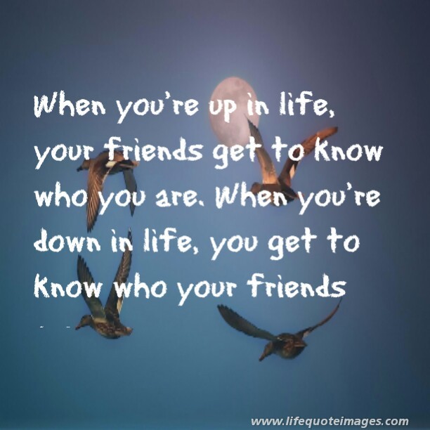 Ups And Downs Quotes Friendship. QuotesGram