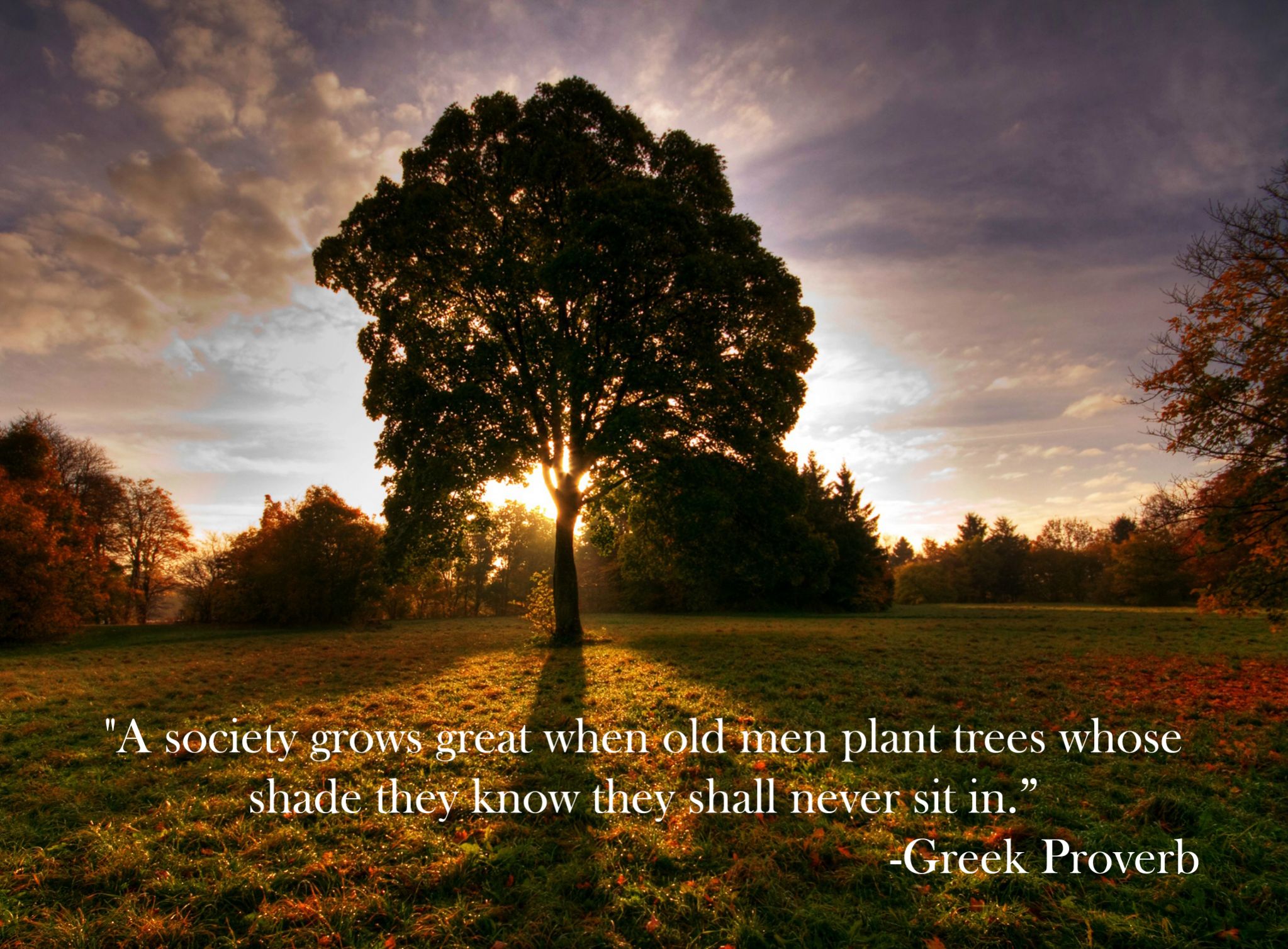 Great Greek Quotes. QuotesGram