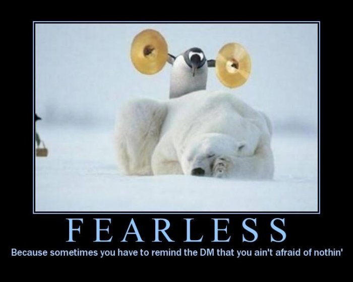 Funny Quotes About Fearless Quotesgram