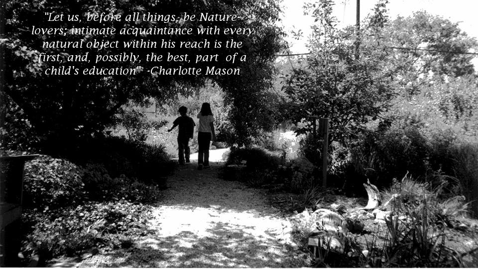 Charlotte Mason Quote on Observation