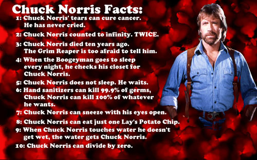 Funny Chuck Norris Quotes Chuck Norris Funny Quotes. Quotesgram Funny Chuck Norris Quotes Chuck Norris Funny Quotes. Quotesgram
