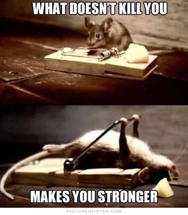 1027237331-what-doesnt-kill-you-makes-you-stronger-quote-1.jpg