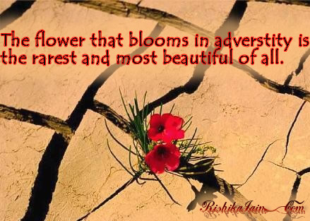 Quotes About Flowers Blooming. QuotesGram