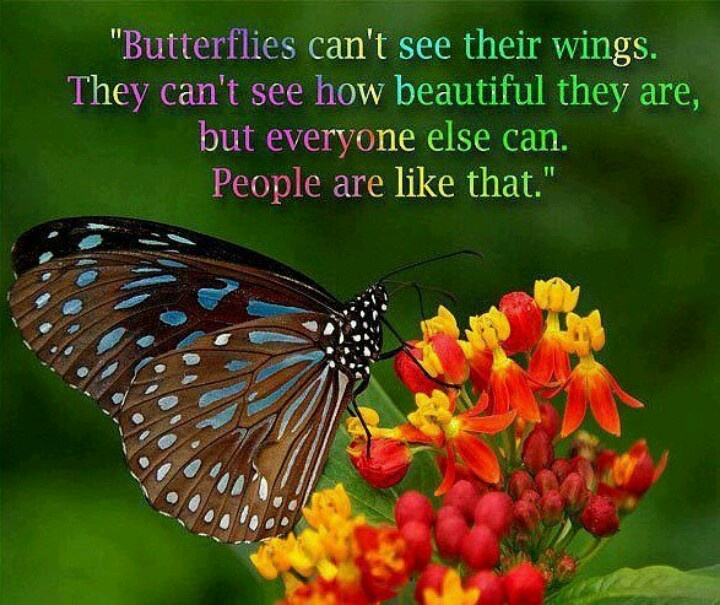  Inspirational  Quotes  About Butterflies  QuotesGram