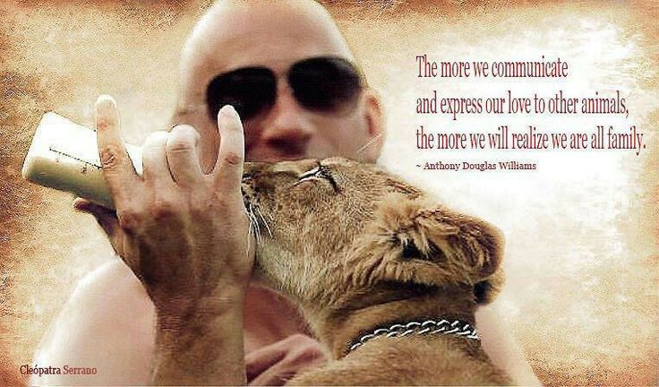 Vin Diesel Family Quotes. QuotesGram