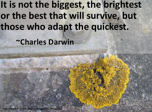 Quote About Life Long Learning : While some topics may specifically be