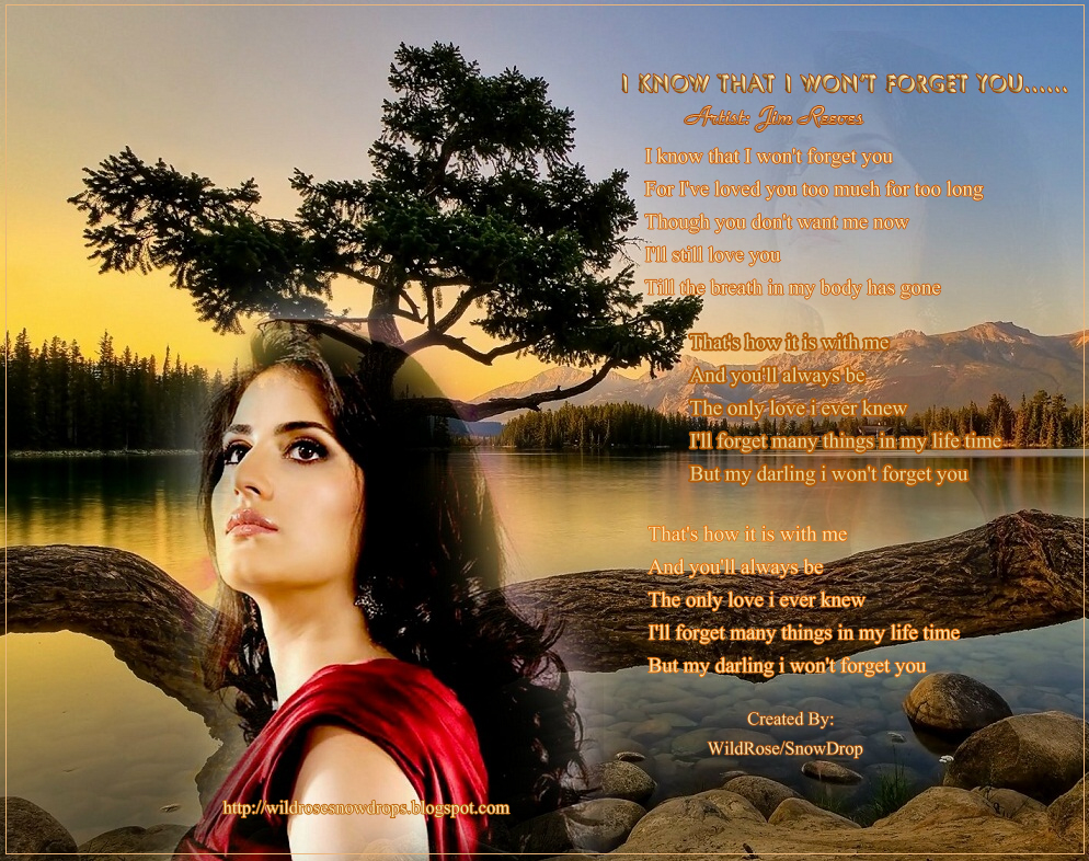 You forgot me. Shouse won't forget you. Won't forget you edit. Shouse - won't forget you видео. Wont forget you перевод.