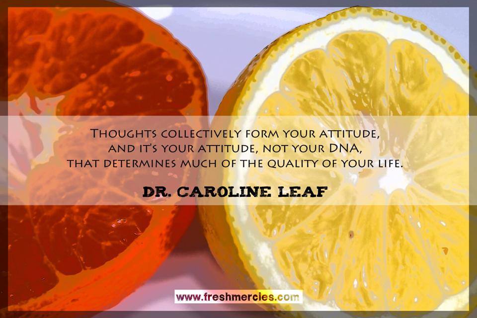 Inspirational Quotes About Leaves QuotesGram inspirational-quotes-about-leaves-quotesgram