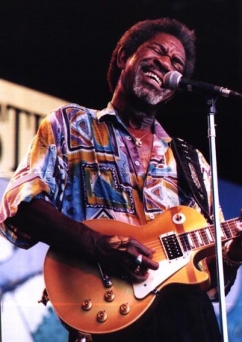 Luther Allison Quotes. QuotesGram