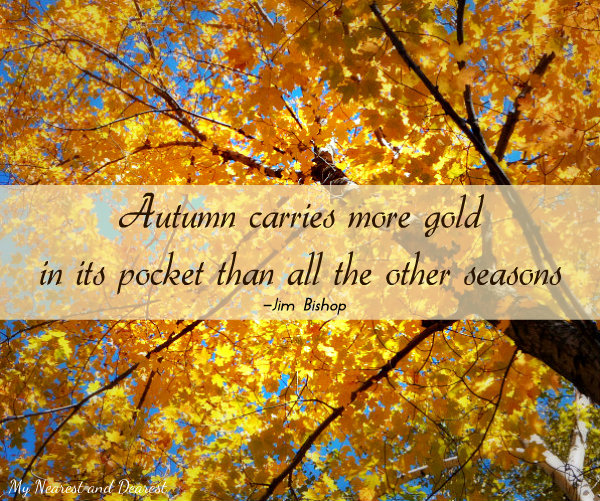 Quotes About Autumn Color. QuotesGram