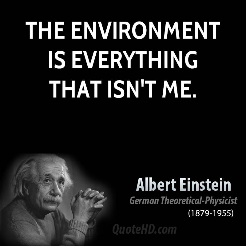 60136677 albert einstein environmental quotes the environment is everything that isnt