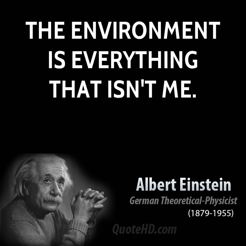 Famous Quotes On The Environment QuotesGram
