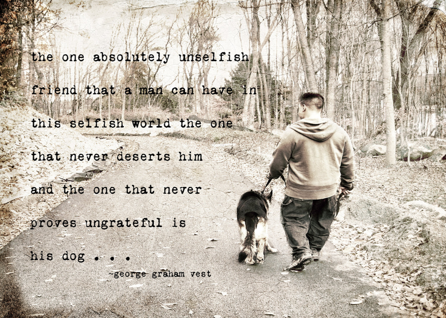 Condolences Loss Of Horse Quotes QuotesGram