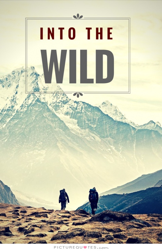 Into The Wild Famous Quotes. QuotesGram