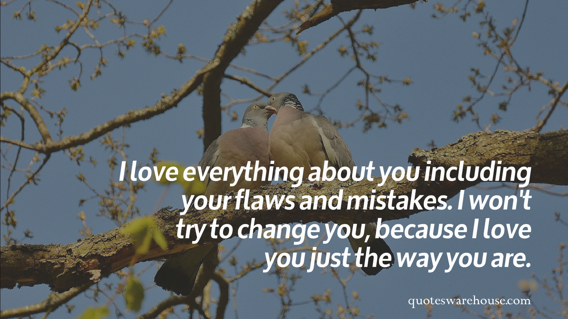 Just The Way You Are Quotes. QuotesGram