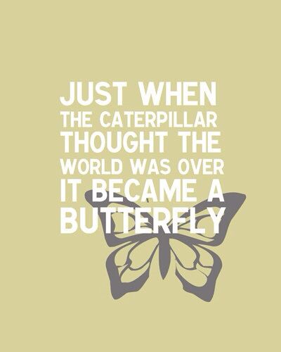 Butterfly S For The Better Quotes About Life Changes. QuotesGram