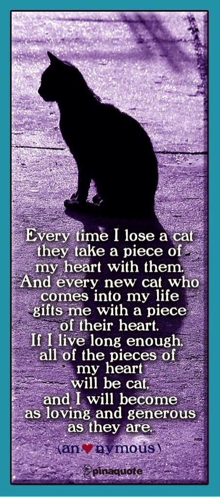 Animal Grieving Quotes QuotesGram