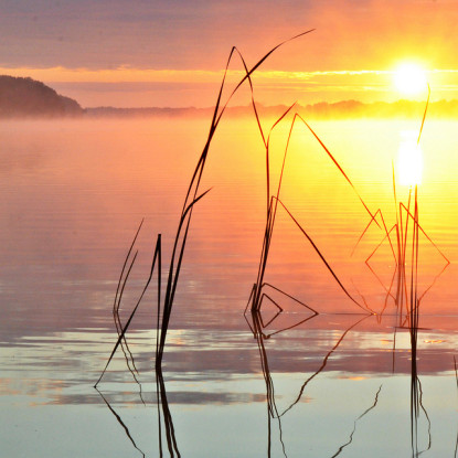 Quotes About Peaceful Living. QuotesGram