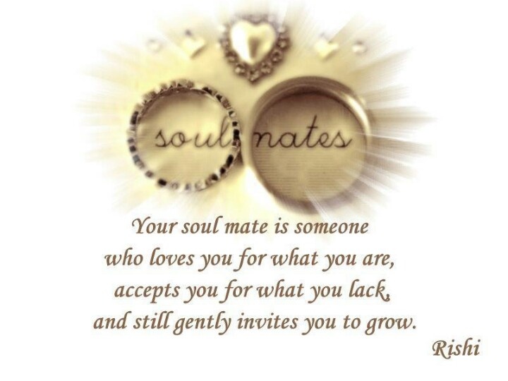 Soulmate my have quotes found i 50 Cute