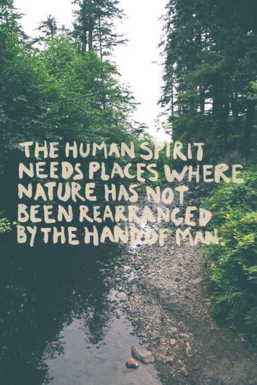 Hiking Nature Quotes. QuotesGram