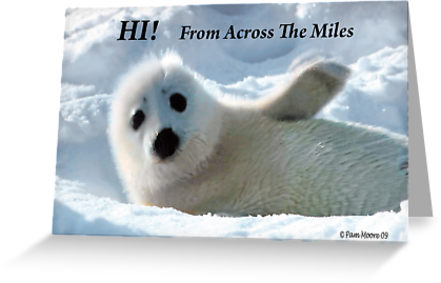 Across The Miles Friends Quotes. QuotesGram