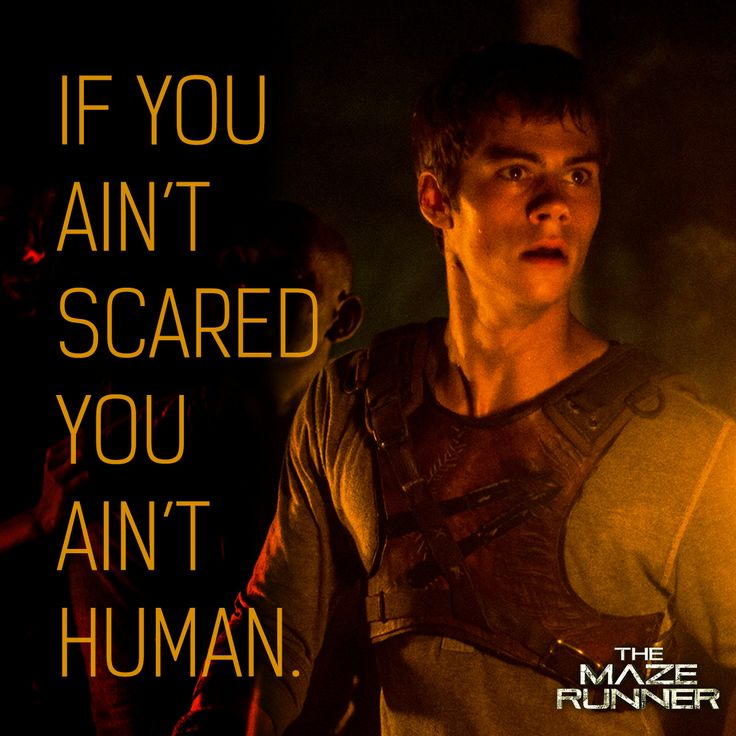 Newt Maze Runner Movie Quotes. Quotesgram