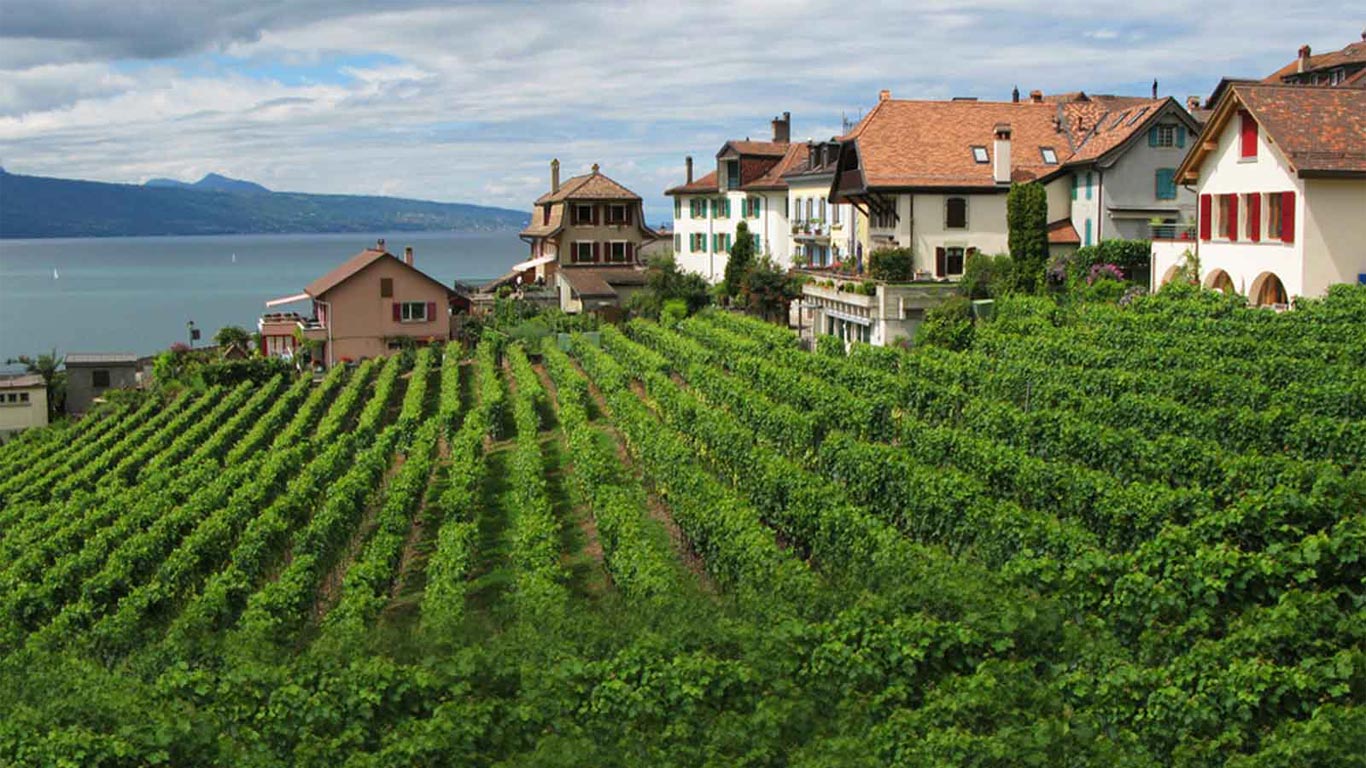 Lavaux Швейцария