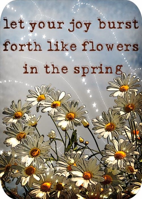 Quotes About Spring And Flowers. QuotesGram
