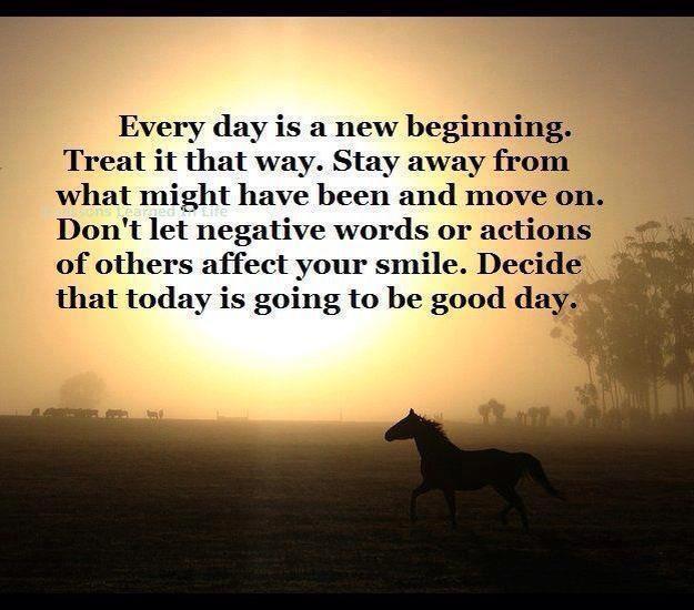 Brand New Me Quotes QuotesGram Brand New Me Quotes QuotesGram
