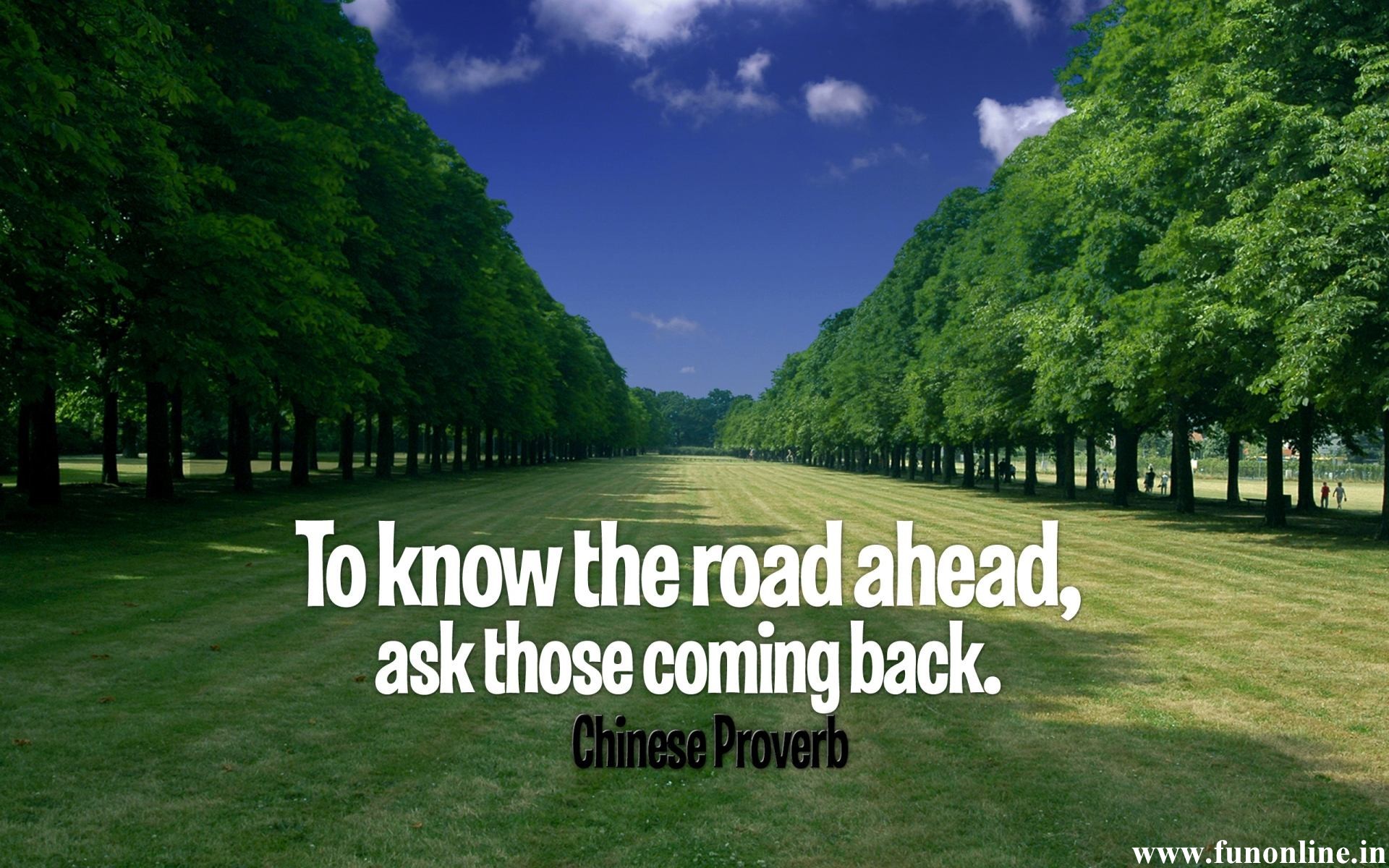 The best time to plant a tree was twenty years ago. The second best time is now.