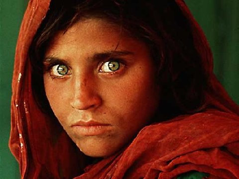 Fatima The Alchemist Quotes Quotesgram