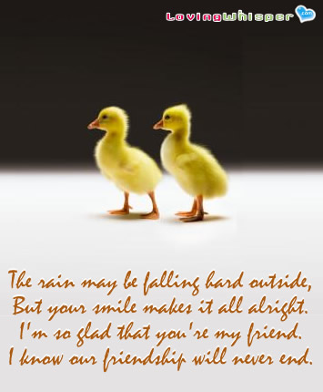 Quotes About Friendships Ending