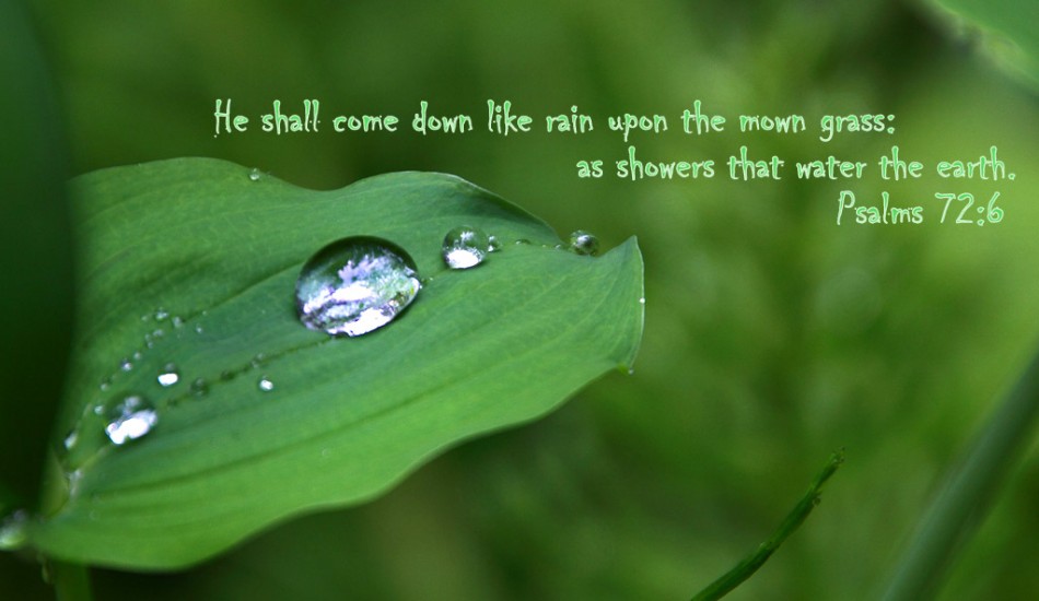 Bible Quotes About Rain. QuotesGram