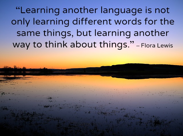 Learning Culture Quotes. QuotesGram