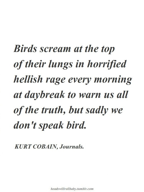 Beautiful Quotes From Kurt Cobain Quotesgram
