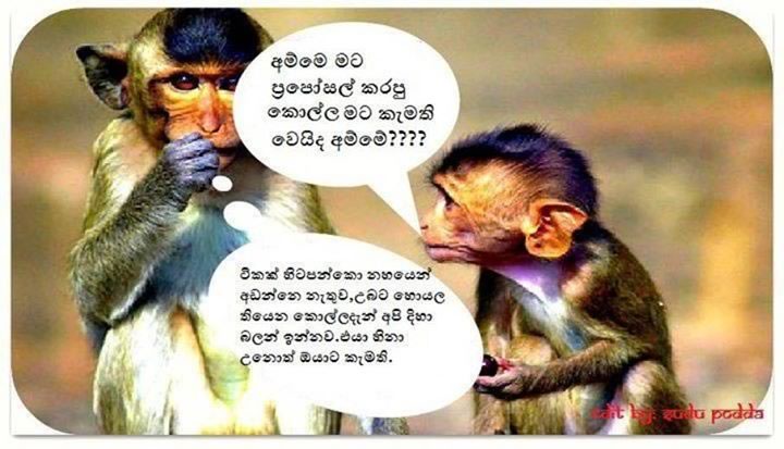 sinhala jokes movie sinhala jokes movie