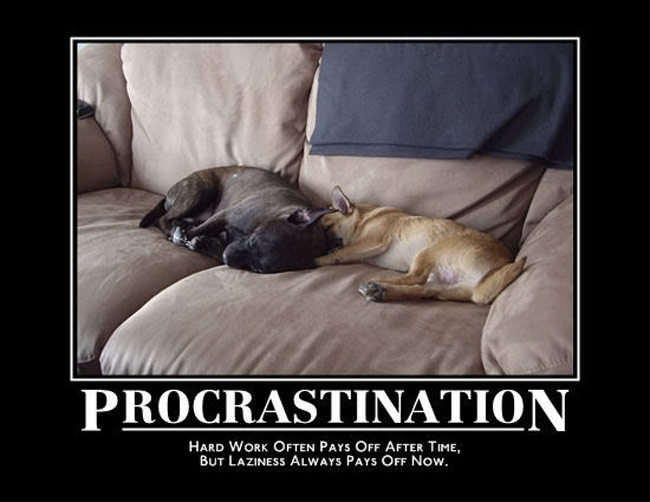 Funny Quotes About Procrastination